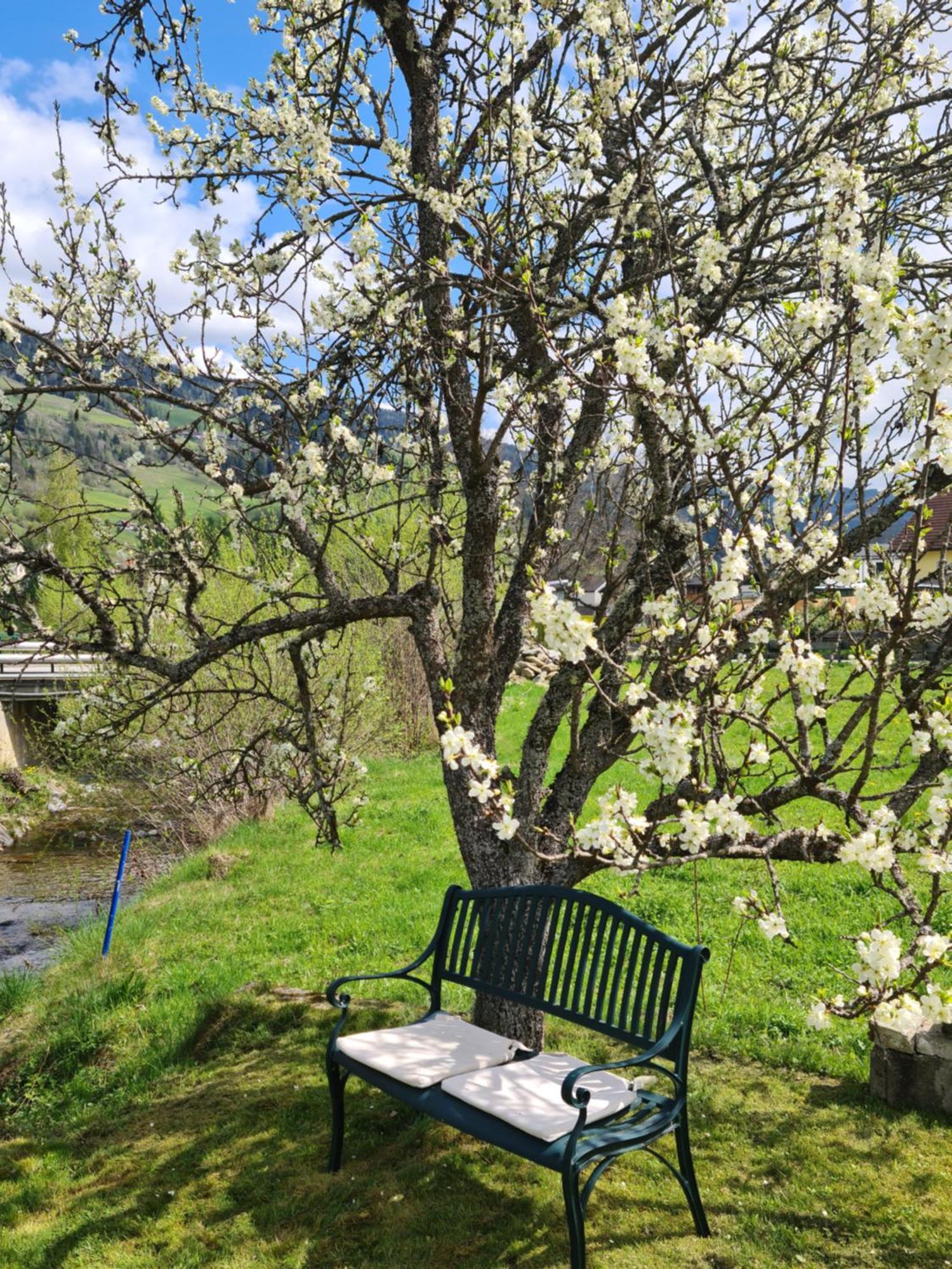 Kreischberg Deluxe With Finnish Sauna Sankt Lorenzen ob Murau Εξωτερικό φωτογραφία